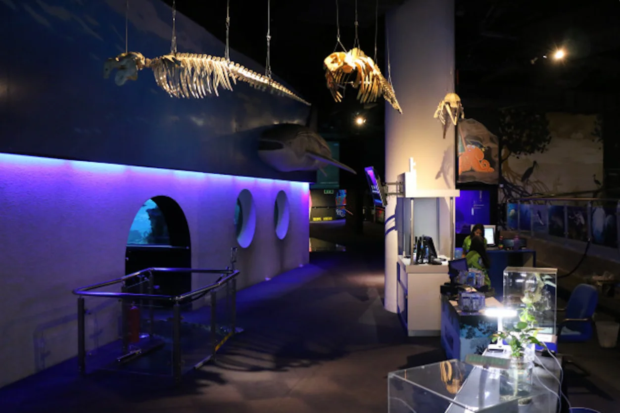 Aquaria KLCC + Berjaya Times Square Theme Park Weekend & Public Holidays - view 2